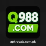 Q988 Game